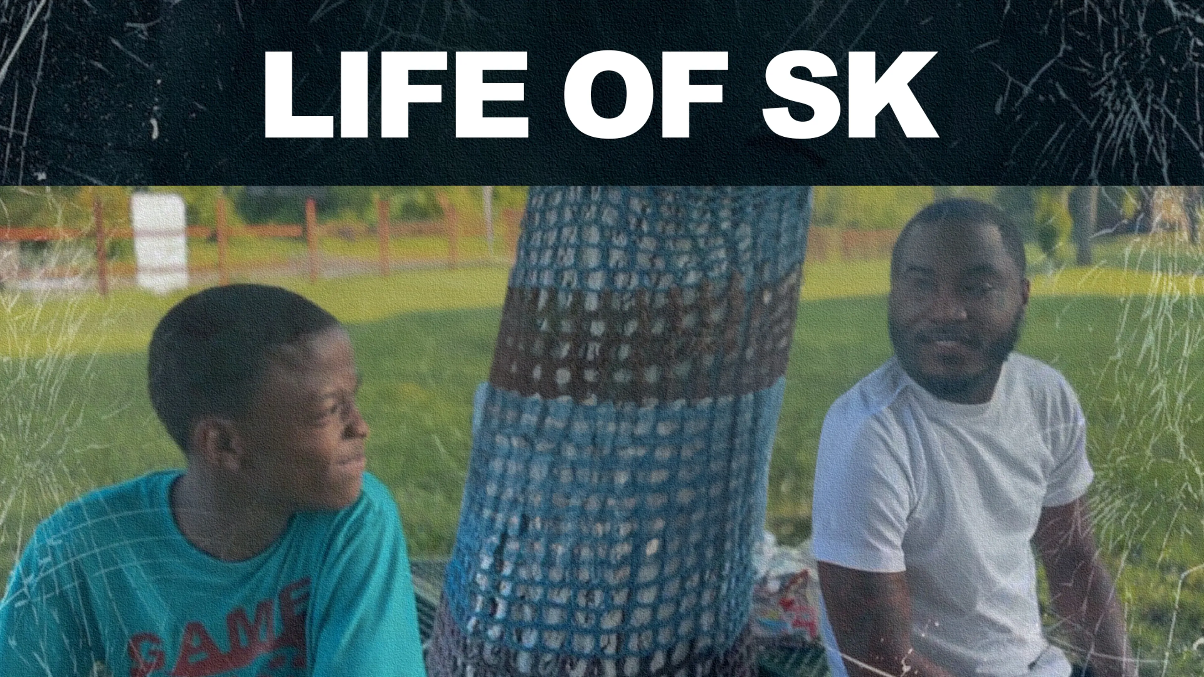 Life of SK poster